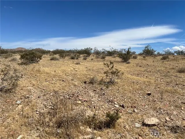 0 Leaping Lizard Lane, Apple Valley, CA 92307 - #3