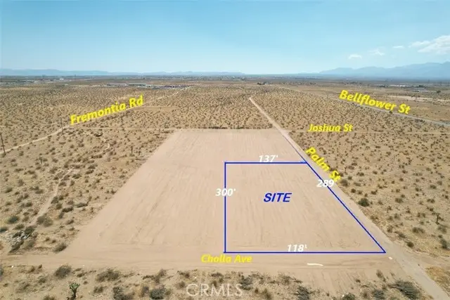 21 Palm Street, Adelanto, CA 92301 - #1