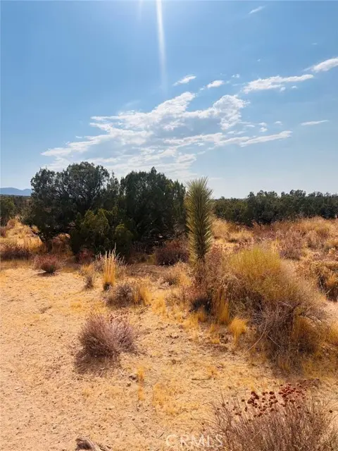 0 Vac/Vic, Llano, CA 93544 - #1