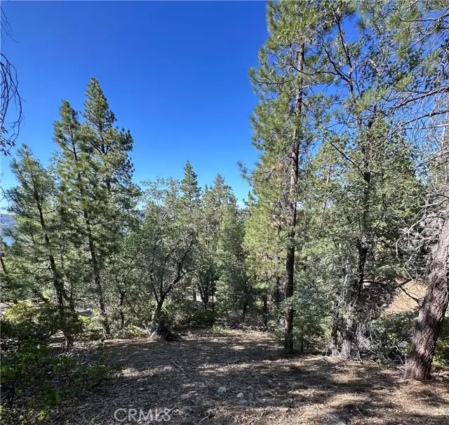 41089 Maryland Road, Big Bear Lake, CA 92315 - #2