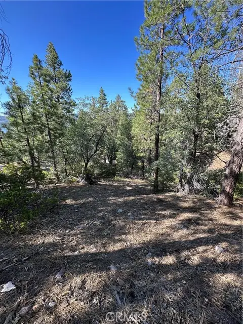 41089 Maryland Road, Big Bear Lake, CA 92315 - #3