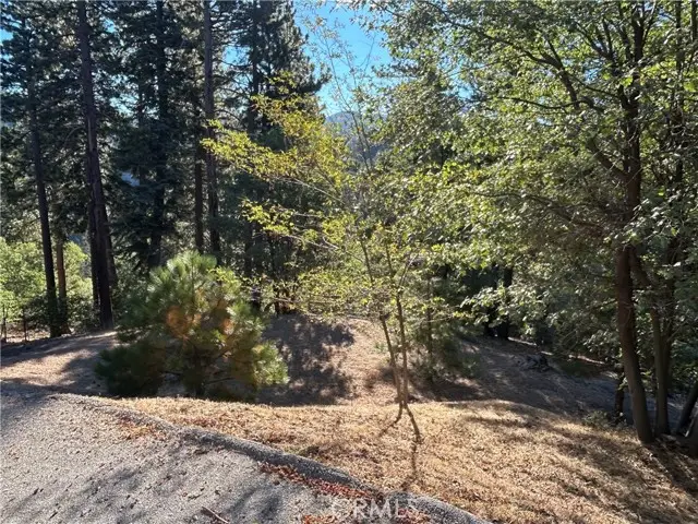 2335 Deep Creek, Running Springs, CA 92382 - #3