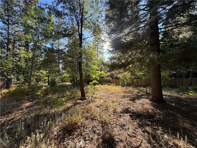 0 Fern Valley Road, Idyllwild, CA 92549 - #1