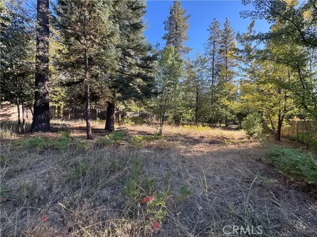 0 Fern Valley Road, Idyllwild, CA 92549 - #2