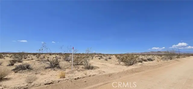 61329 Moon Drive, Landers, CA 92285 - #3