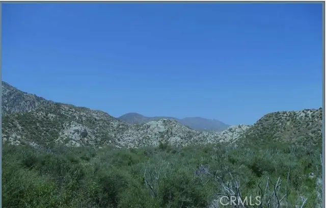 0 Farris, Phelan, CA 92371 - #2