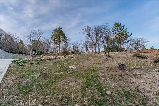 70 Panorama Road, Running Springs, CA 92382 - #3