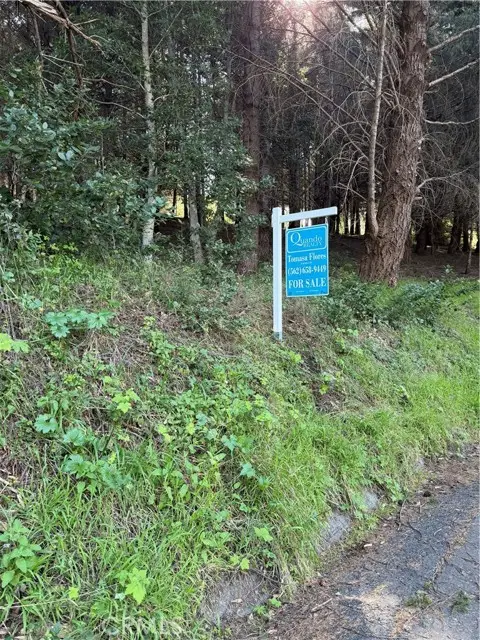 767 Spring, Whitethorn, CA 95589 - #1