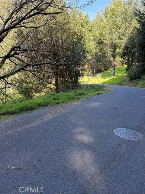 767 Spring, Whitethorn, CA 95589 - #2