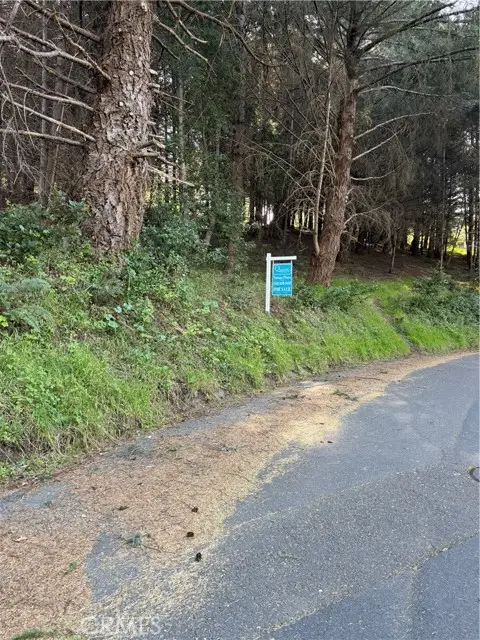 767 Spring, Whitethorn, CA 95589 - #3