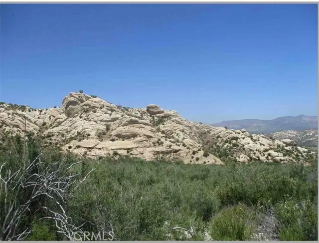 0 Farris, Phelan, CA 92371 - #2