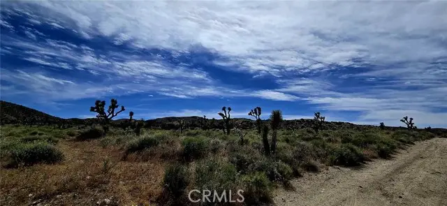 8900 Bainard Canyon Road, Palmdale, CA 93550 - #2