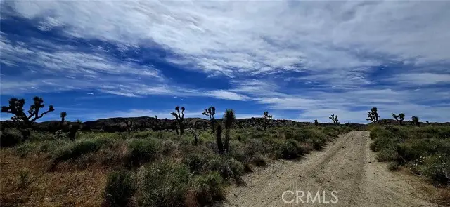 8900 Bainard Canyon Road, Palmdale, CA 93550 - #3