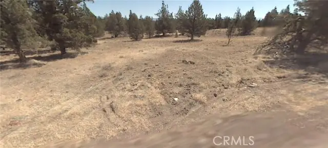 0 Pheasant Drive, Alturas, CA 96101 - #3