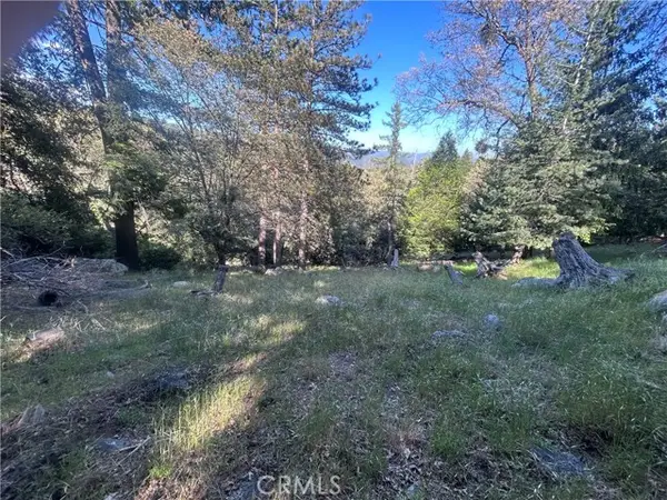 342 CANYON DR, Cedarpines Park, CA 92322
