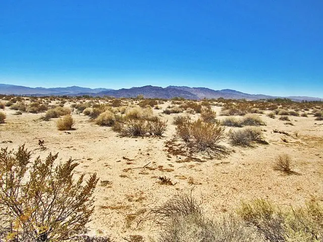 34348 Lakeview Avenue, Newberry Springs, CA 92365 - #3