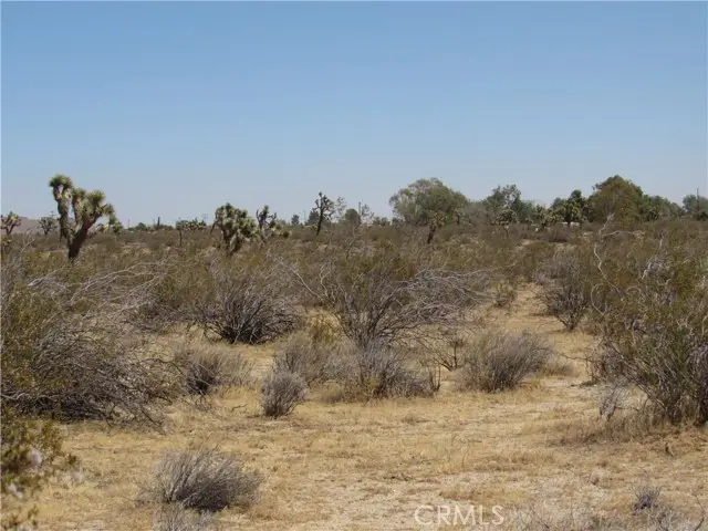 0 346-214-55-00-0 Gibbs Avenue, Mojave, CA 93501 - #2