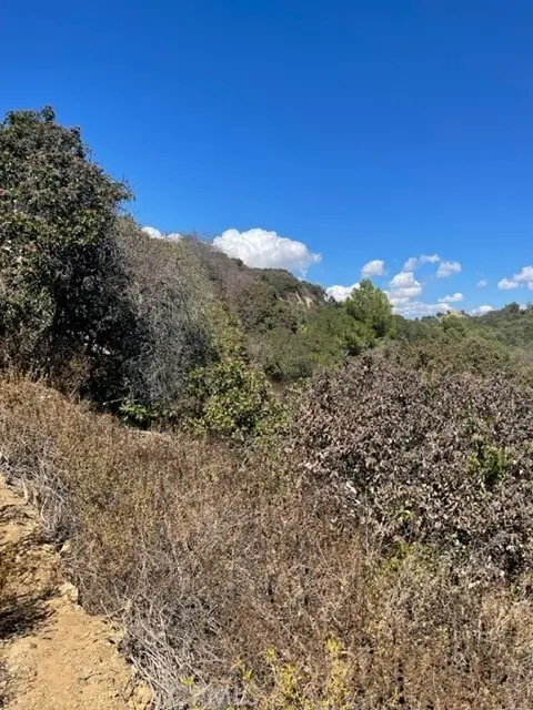 0 Subdivision 1033, Lot 19, Los Angeles, CA 90077 - #3