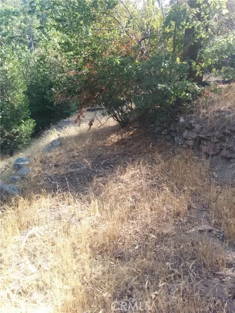 #3