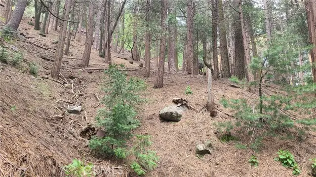 44 Reservoir Road, Cedarpines Park, CA 92322 - Image #2