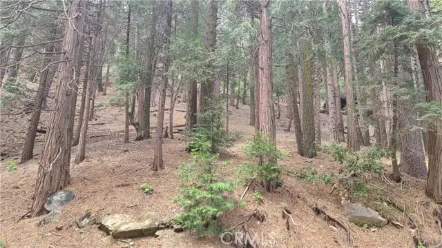 44 Reservoir Road, Cedarpines Park, CA 92322 - Image #3