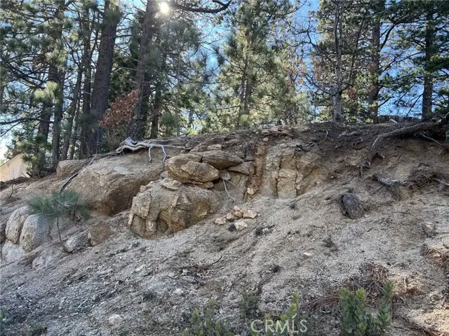 2686 Viking, Running Springs, CA 92382 - #1