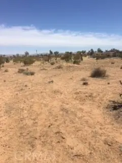 0 XXXx, Twentynine Palms, CA 92277 - #1