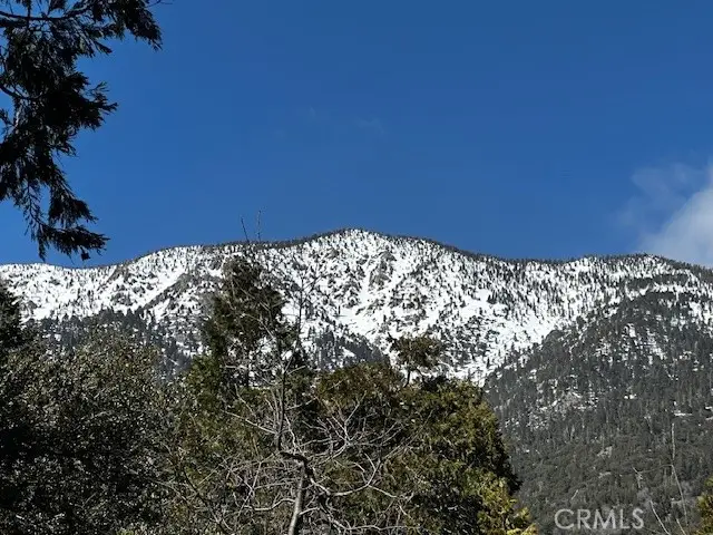 0 Fir, Forest Falls, CA 92339 - Image #1