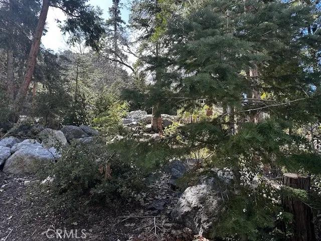 0 Fir, Forest Falls, CA 92339 - Image #3