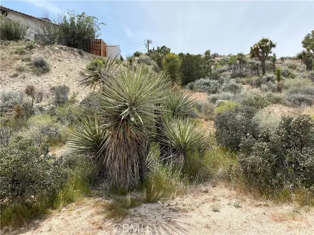 0 Farrelo Road, Yucca Valley, CA 92284 - #2
