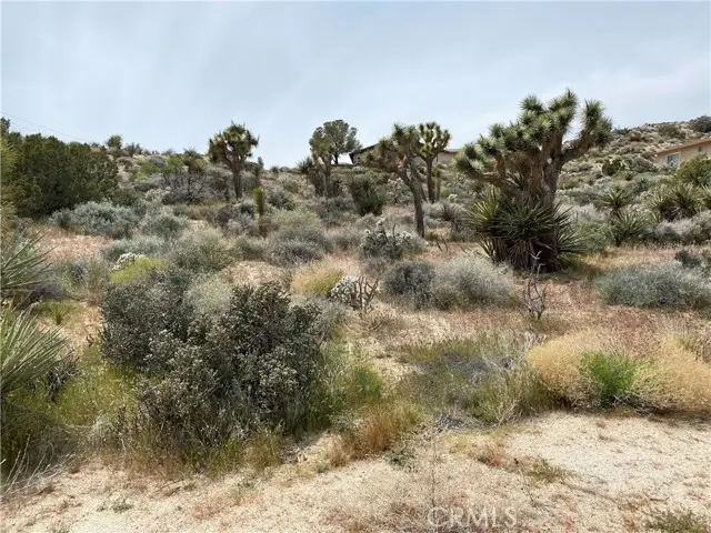 0 Farrelo Road, Yucca Valley, CA 92284 - #3