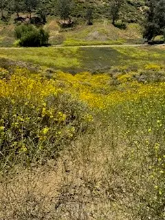 0 McBurney Ave, Lake Elsinore, CA 92530 - #3