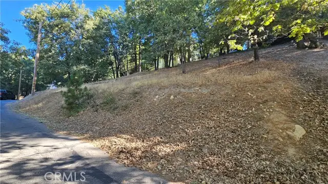 72 Park Drive, Running Springs, CA 92382 - #2