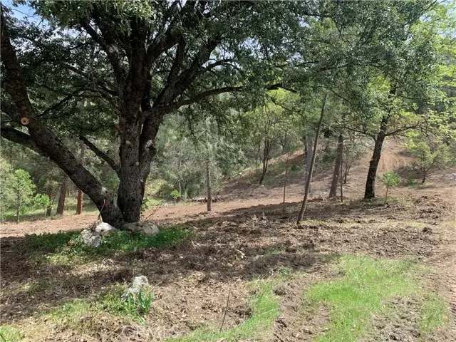 222 Rd 222, Oakhurst, CA 93644 - Image #2