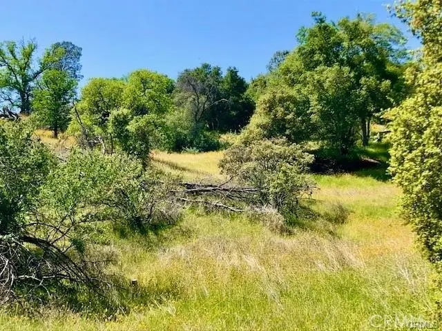 0 Dome Drive, Coarsegold, CA 93614 - #3