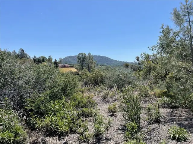 11 Suncrest Dr, Oakhurst, CA 93644 - Image #1