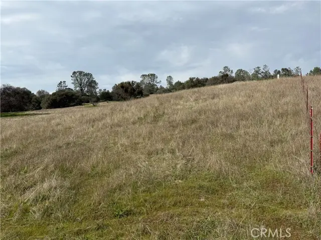 #3