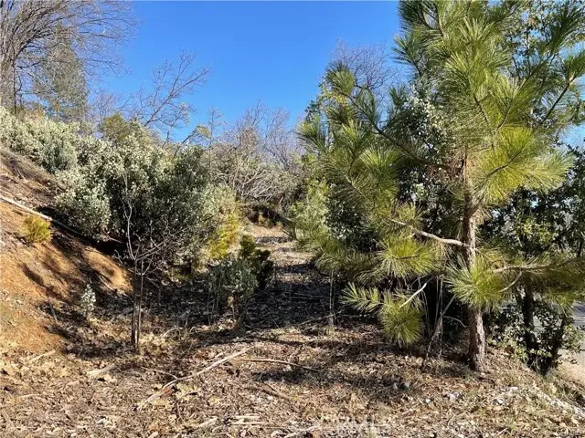 59479 Cascadel Drive, North Fork, CA 93643 - #2