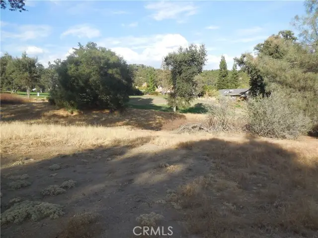 1 Griffin Drive, Oakhurst, CA 93644 - #3