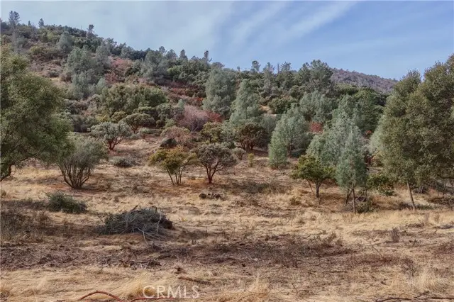 2 Stillmeadow Lane, Oakhurst, CA 93644 - #3