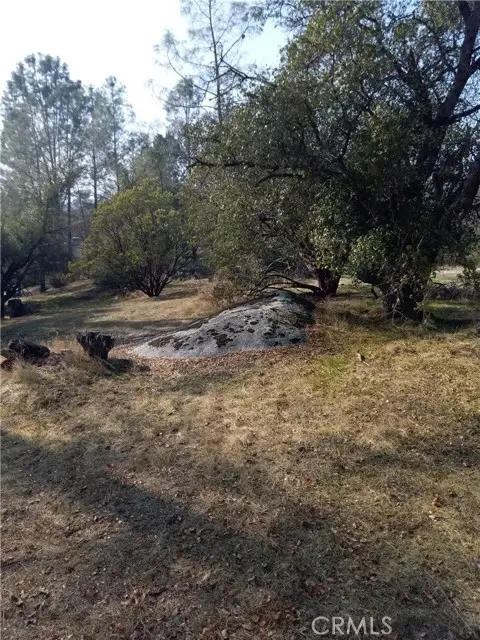 0 Deep Forest Drive, Coarsegold, CA 93614 - #3