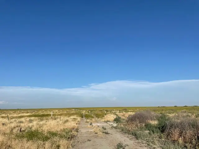 12 Poso Canal, Corcoran, CA 93212 - #2