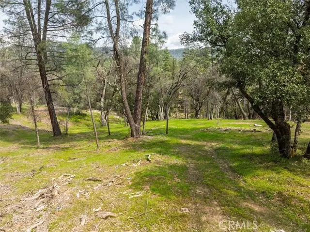 0 Springwood Court, Oakhurst, CA 93644 - #3