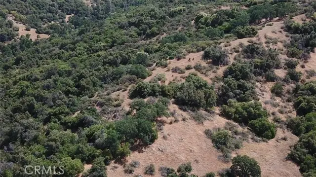 8 Acres, Miramonte, CA 93641 - #1