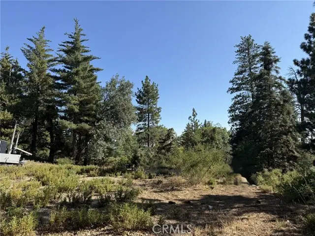 0 Ca-38, Angelus Oaks, CA 92305 - #3