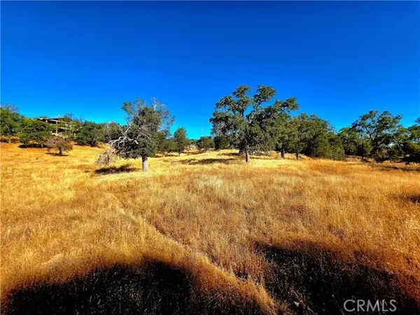 1 Lilley Mountain Drive, Coarsegold, CA 93614