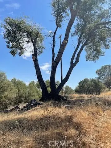 123 Jennifer Way, Coarsegold, CA 93614 - Image #3