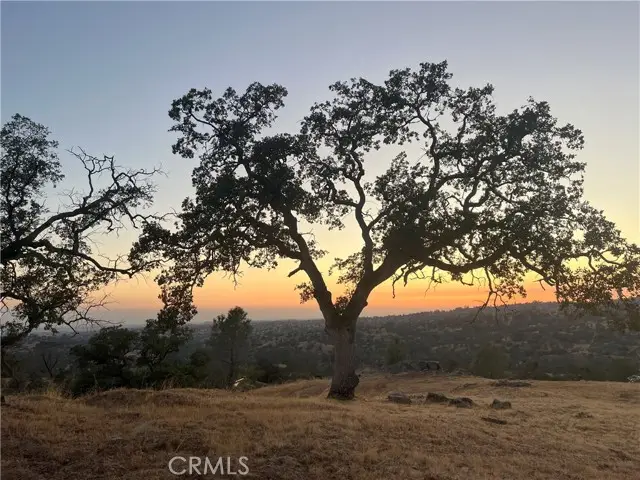 1578 Lilley Mountain, Coarsegold, CA 93614 - #1