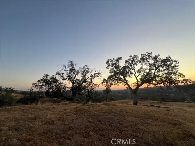 1578 Lilley Mountain, Coarsegold, CA 93614 - #2