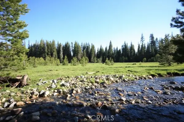 10 Beasore Road, Bass Lake, CA 93604